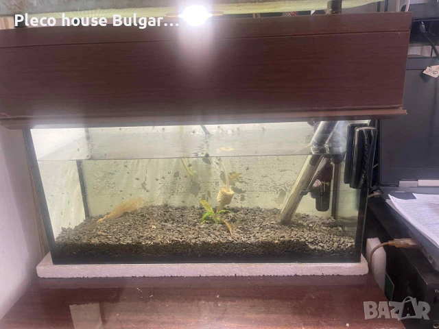 АКВАРИУМ 36 литра, снимка 1