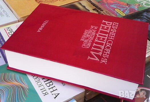 Единен сборник рецепти за заведенията за обществено хранене червен рецептурник, снимка 3 - Енциклопедии, справочници - 39703319