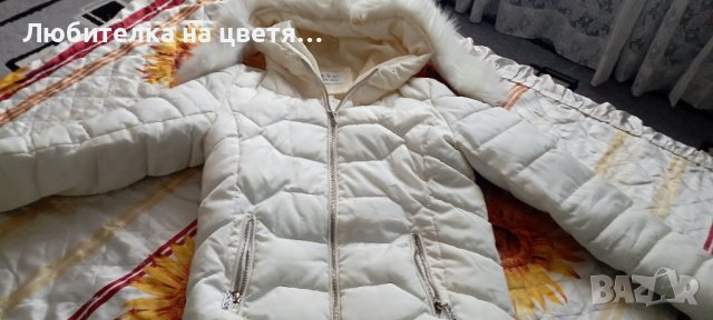 три броя преходни якета размер С, снимка 5 - Якета - 42553203