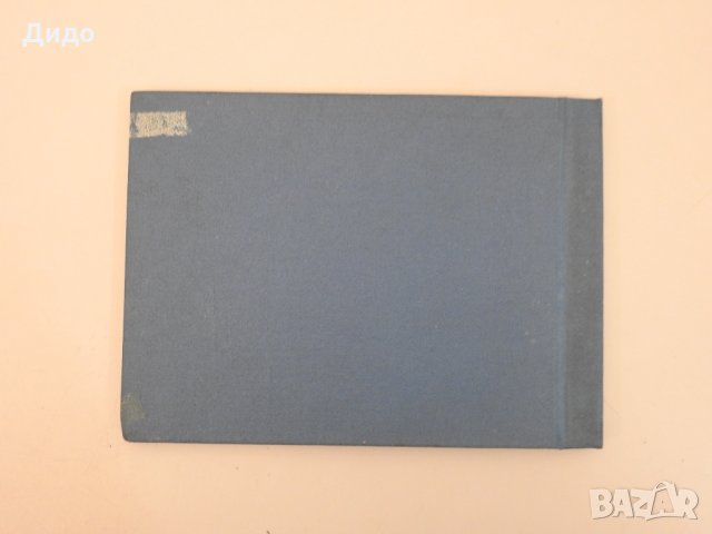 Стар училищен фотоалбум 66 ЕСПУ Петко Напетов 1981 г., снимка 11 - Колекции - 31094828