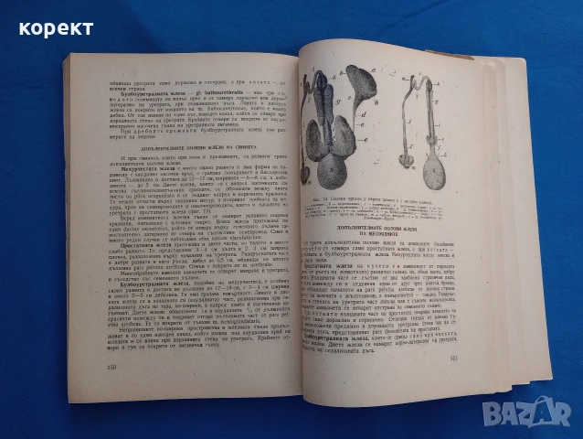 Анатомия на домашните животни , снимка 2 - Специализирана литература - 53076251