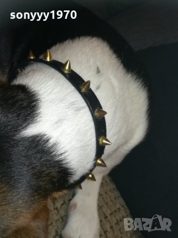 кожен нашииник с златни шипове-внос франция, снимка 5 - Колекции - 30328049