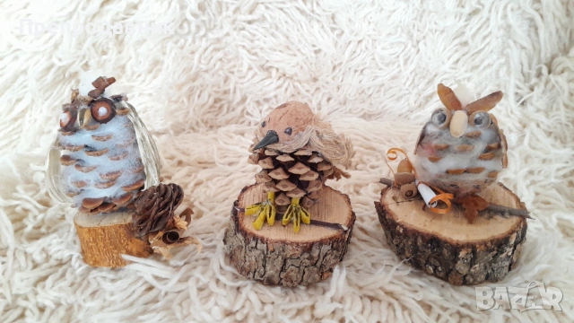 горски приятели: Семейство Бухали и Врабче