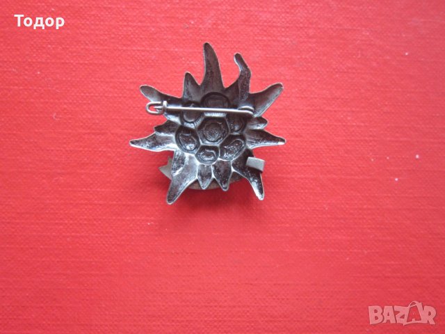 Голям тиролски ловен знак значка Еделвайс, снимка 5 - Колекции - 29421637