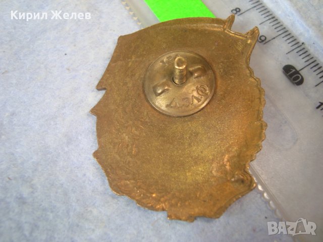 ОТЛИЧНИК по БОЙНАТА и ПОЛИТ. ПОДГОТОВКА Стара ЕМАЙЛИРАНА БРОНЗОВА ЗНАЧКА на ВИНТ Iва Д.З.Л.Ф. 32608, снимка 2 - Колекции - 38465693