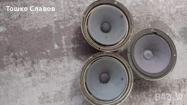 говорители Тонсил