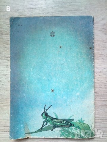 Мандрівна квітка  Іван Сенченко, детска книжка "Пътуващото цвете" на украински език от Иван Сенченко, снимка 5 - Детски книжки - 37343385