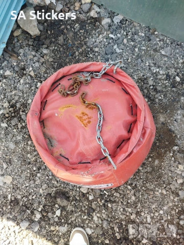 Боксова круша Petra, снимка 2 - Бокс - 54098687