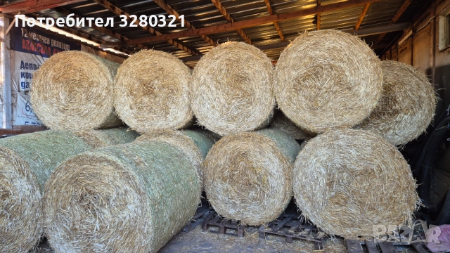 Бали ролонни Ечемик и Пшеница 2025г.