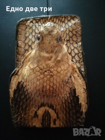 Калъф"Глава Кралска кобра" / Лула"Amadeus Pipes"  , снимка 7 - Антикварни и старинни предмети - 34172769