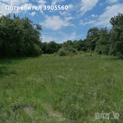 Продавам парцел в село Режанци, Брезник