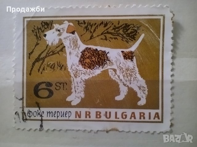Стари  български марки с кучета, снимка 2 - Филателия - 40707969