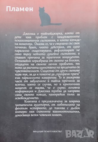 Да намериш Джесика Рос де Дю, снимка 2 - Художествена литература - 42373940
