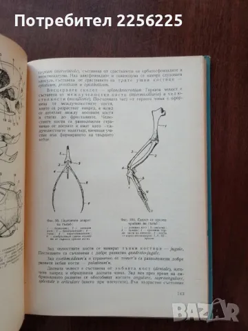 Ръководство за практически занятия по зоология на гръбначните животни, снимка 7 - Специализирана литература - 50440615