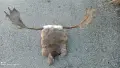 Стари, Стар, Старо, Арт, ретро маска, викинг шлем , снимка 1