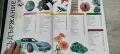 Детски книжки и енциклопедии , снимка 2