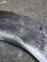 Стари Немски и Френски инструменти , снимка 9