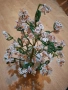 ръчно изработени цветя за ценители , снимка 6