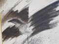 професор Греди Асса Птицата красива картина с маслени бои, снимка 4