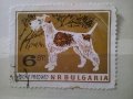 Стари  български марки с кучета, снимка 2