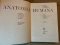 Anatomia Humana. Tomo 1 Generalidates Aparato Locomotor М. Prives, N. Lisenkov, V. Bushkovich, снимка 2