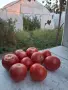 Продавам вкусен розов домат, снимка 2
