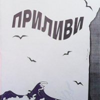 Приливи Никола Стоянов, снимка 1 - Художествена литература - 36908581