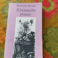 Юношески роман от Валентин Катаев, снимка 1 - Художествена литература - 35238283