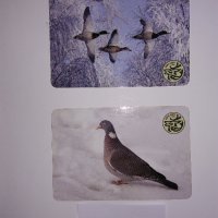 Стари календарчета от 1987г., 2011 г., 2013 г. и 2015 г. с животни, птици и риби, снимка 11 - Колекции - 31731702