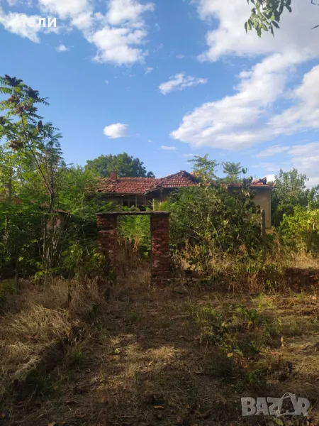 Дворно място с къща в с. Черна гора, област Стара Загора , снимка 1