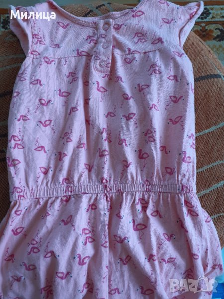 Бодита, снимка 1