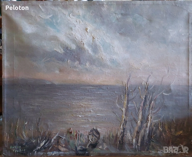 Ботьо Грудев , снимка 1