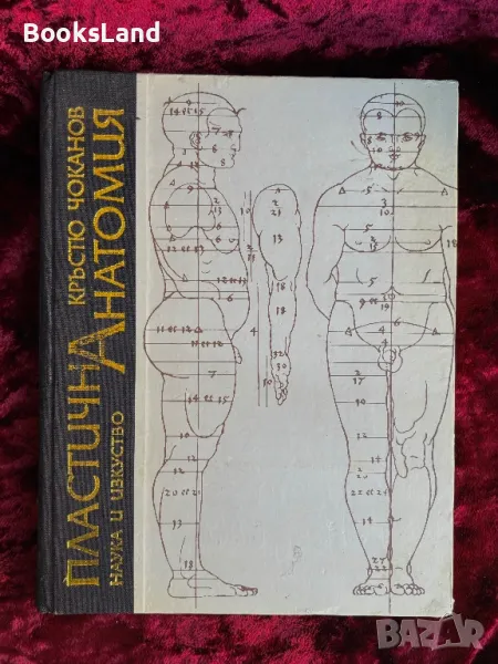 Пластична анатомия - Кръстю Чоканов , снимка 1