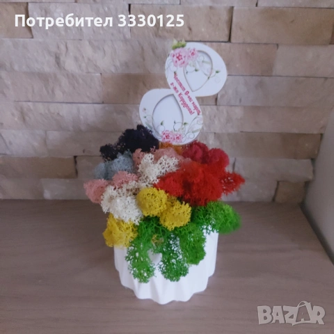 Кашпа със скандинавски мъх за 8ми март