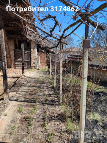 Имот с къща в село Присово , снимка 5 - Къщи - 42277054