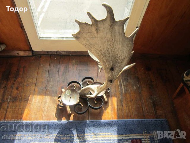 Уникален немски декантер еленов рог свещник изба трофей, снимка 2 - Колекции - 31656766
