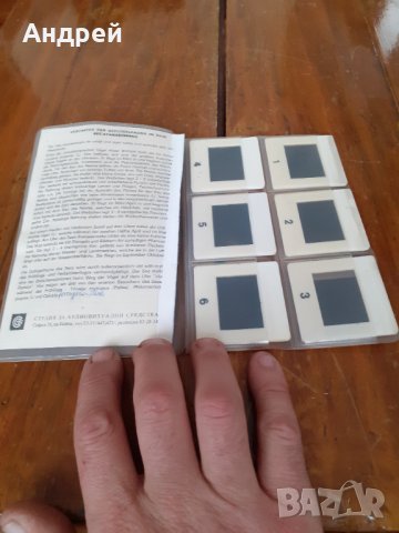 Стари диапозитиви Атанасовското езеро,Птича фауна, снимка 3 - Други ценни предмети - 31399774