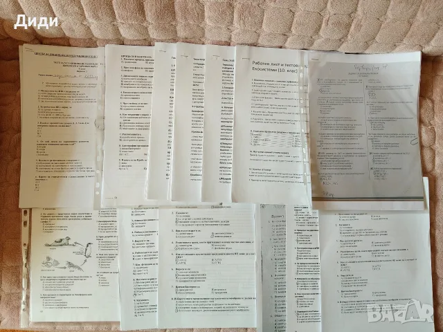 Помагала за 10 клас, снимка 14 - Учебници, учебни тетрадки - 55145051