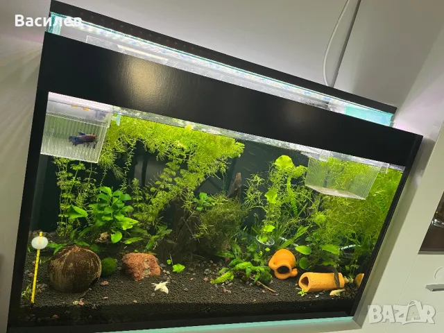 Аквариум с осветление и канистър, снимка 2 - Аквариуми - 49892925