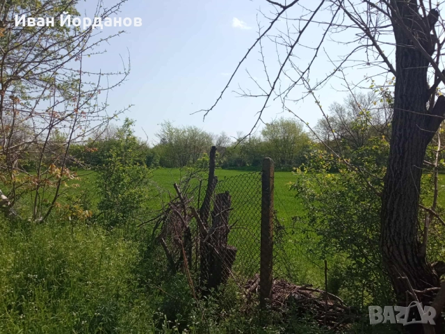 Имот в регулация в с. Бутан, общ. Козлодуй., снимка 2 - Парцели - 51839964