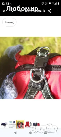 Външно ветроустойчиво и водоустойчиво светлоотразително яке за кучета с презрамки 2хл

, снимка 5 - За кучета - 48024476