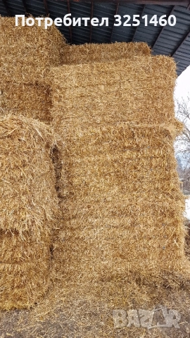 Слама Овес , снимка 3 - За селскостопански - 51519387
