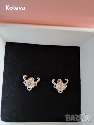 Сребърни обеци , снимка 4 - Обеци - 49864482