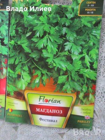 Семена за магданоз,краставици и фасул неразпечатани опаковки, снимка 2 - Сортови семена и луковици - 35184139