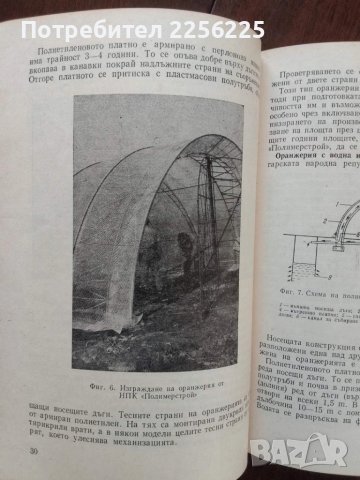 Производство на зеленчуци в пластмасови съоръжения, снимка 7 - Специализирана литература - 51047115
