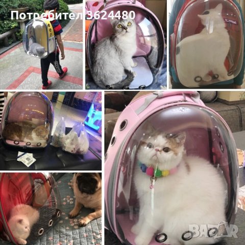 Раница прозрачна капсула носене на кучета или котки, снимка 7 - Други стоки за животни - 40006081