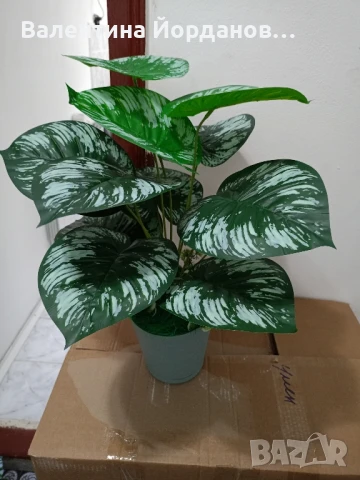 изкуствени цветя в кашпи , снимка 9 - Изкуствени цветя - 50848537