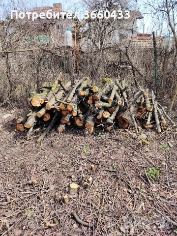дърва за огрев, снимка 2 - Дърва за огрев - 53878788