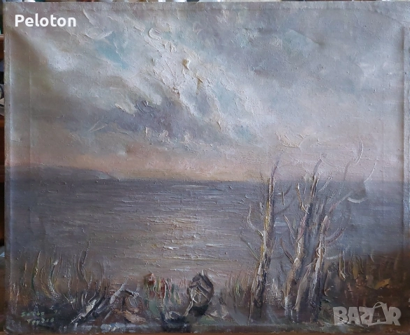 Ботьо Грудев 