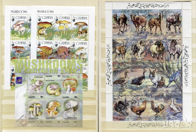 Албум KaBe A5 с над 400 чисти марки (MNH) африкански държави и 7 блока, снимка 6 - Филателия - 52351916